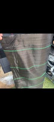 Weed Mate 2 x 50 meter Black 70GSM